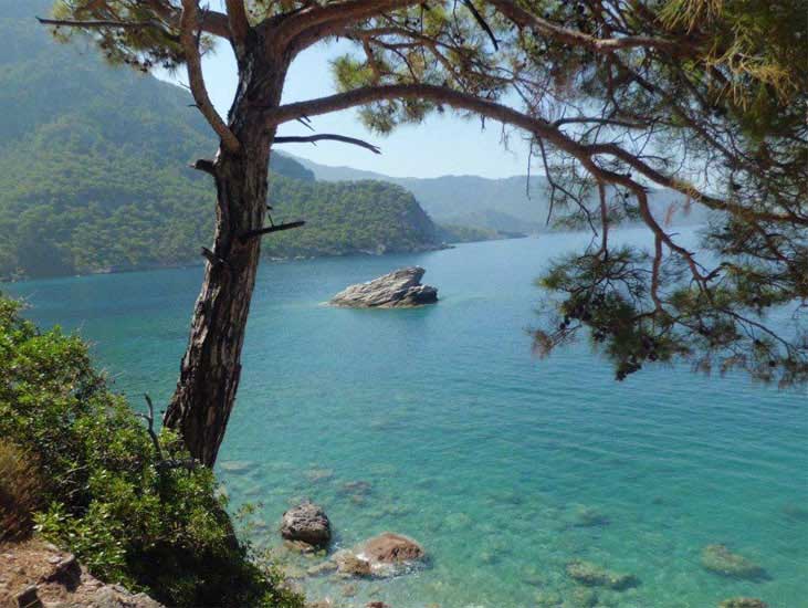 Featured image of post Kabak Koyu'nu Keşfetmeye Var mısın?