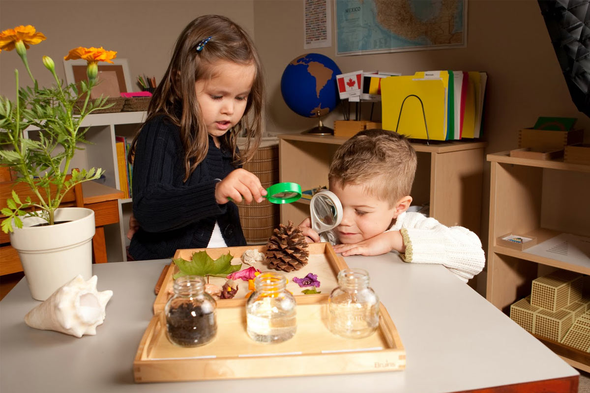 Featured image of post Dünya barışı için Montessori eğitimi umut olabilir mi?