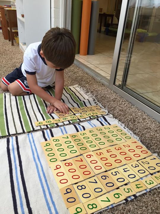 montessori8
