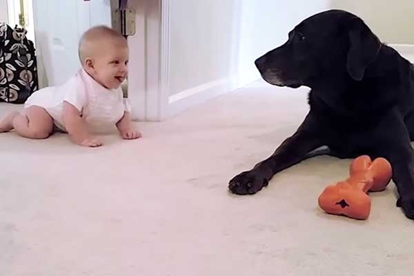 İlk Kez Emekleyen Bebeğe En Tatlı Tebrik! :)