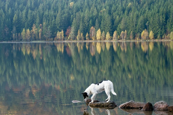 Featured image of post Önemli Olan Kimden Öğrendiğin Değil, Ne Öğrendiğindir!
