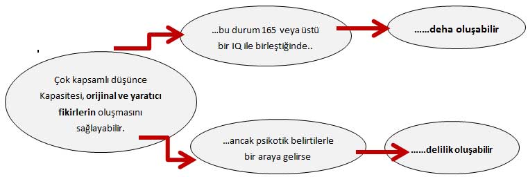 deha-delilik1