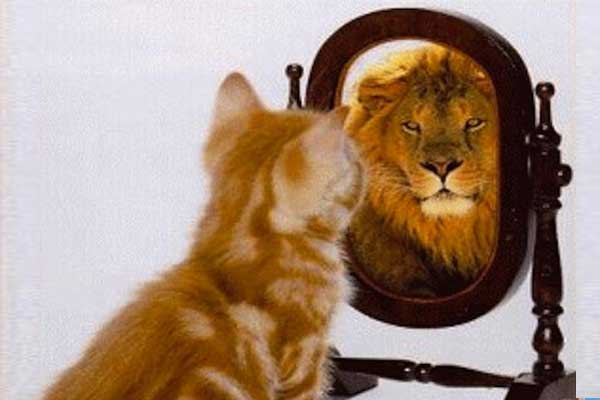 Featured image of post Dunning-Kruger Sendromu
