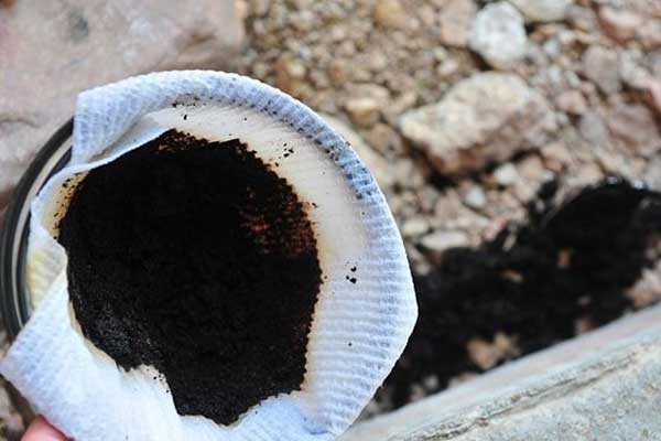 Karıncalardan Kurtulmanın Daha Önce Duymadığınız Kolay Yolu