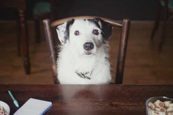 Featured image of post Kız Arkadaşının Yanlarına Taşınması İçin Sahibini İkna Etmeye Çalışan Köpek