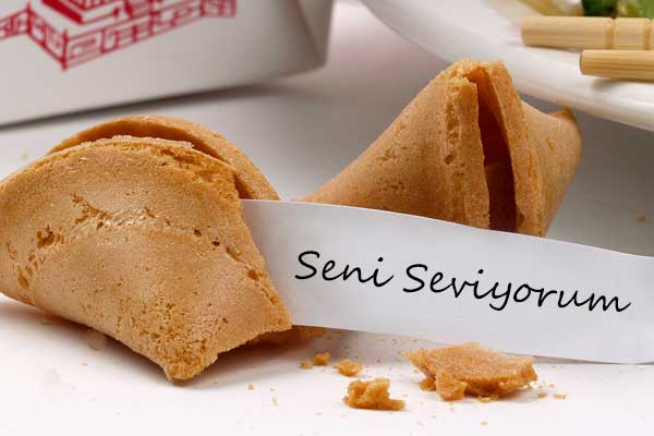 Featured image of post İçinden Not Çıkan Şans Kurabiyesi