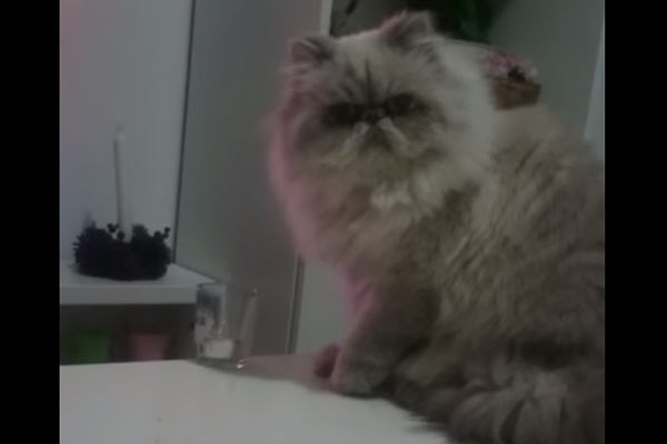 \