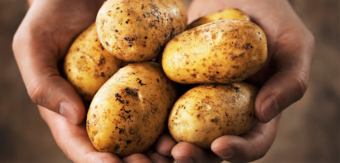 Featured image of post Patates Pişirirken İşinize Yarayacak İpuçları