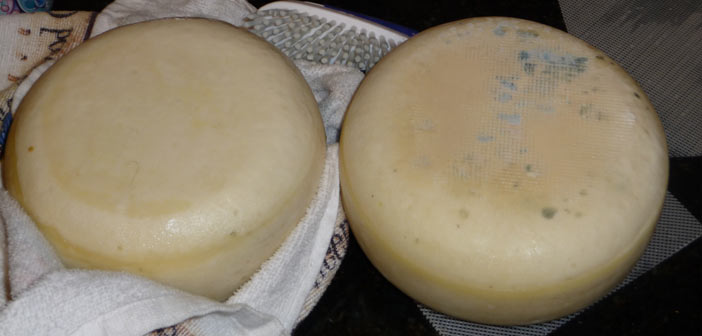 Featured image of post Peynirin Küflenmesini Engellemenin Yolu