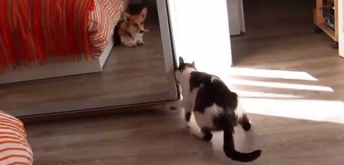 Özel Hayata Birazcık Saygı Lütfen