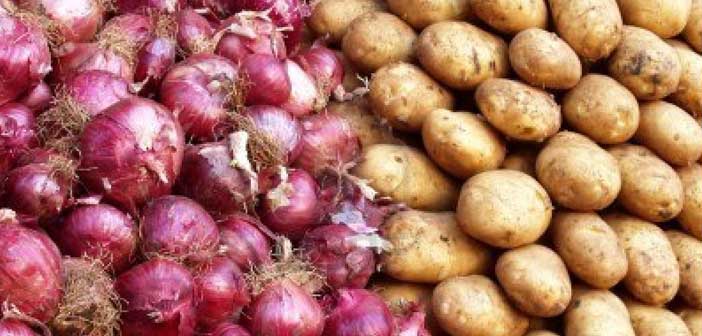 Patates Ve Soğanın Yeşillenmesi Nasıl Engellenir?