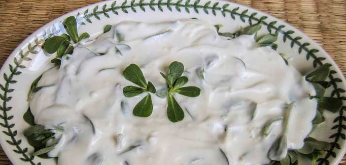 Yoğurtlu Salata Tarifleri