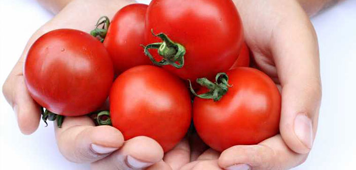 Featured image of post İyi Domates Nasıl Seçilir?