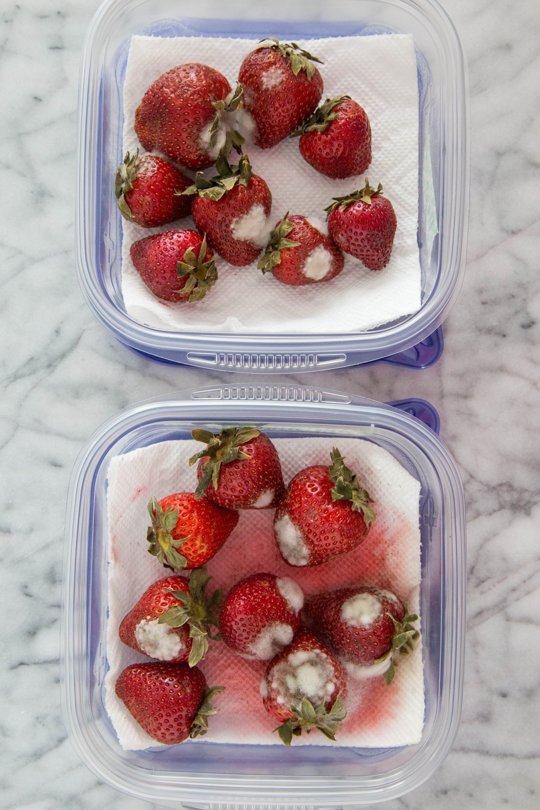 tip-test-strawberry-freshness3