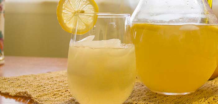 Featured image of post Yaz Sıcaklarında İçinizi Ferahlatacak Detoks Suları