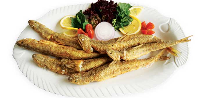 Featured image of post Balık Nasıl Çıtır Olur?