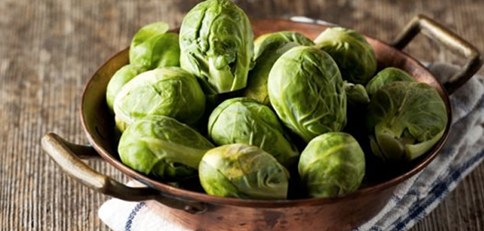 Featured image of post Brüksel Lahanası Hakkından Bilinmesi Gerekenler