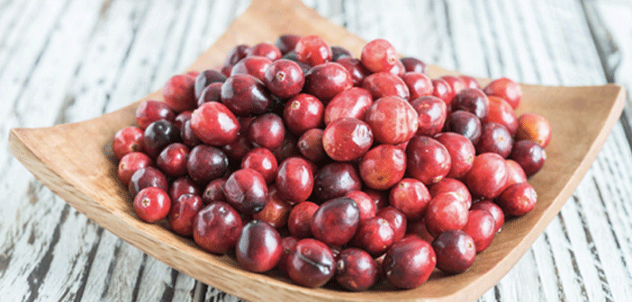 Featured image of post Kızılcıkla Vücut Peelingi Hazırlayın