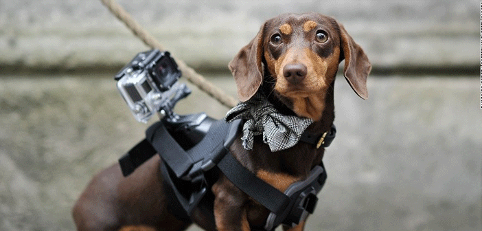 Featured image of post Büyüklerin Yeni Oyuncağı GoPro Nedir?