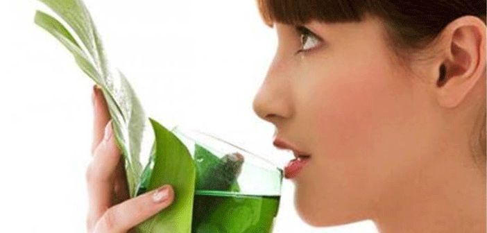 Featured image of post En İyi Detoks için 5 İpucu