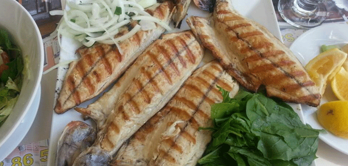 Featured image of post Palamudu Pişirme Teknikleri