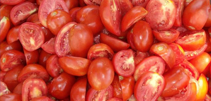 Featured image of post Ezilen Domatesler Nasıl Değerlendirilir?