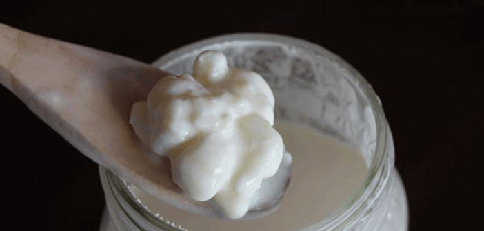 Featured image of post Kefir Mayası Nasıl Saklanabilir?