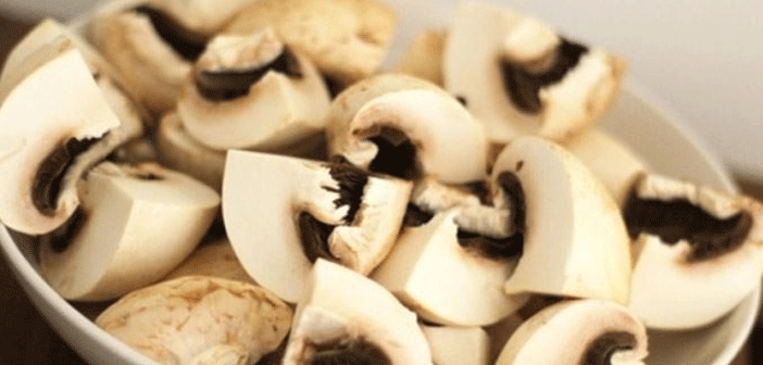 Featured image of post Kültür Mantarı Buzlukta Saklanabilir Mi?