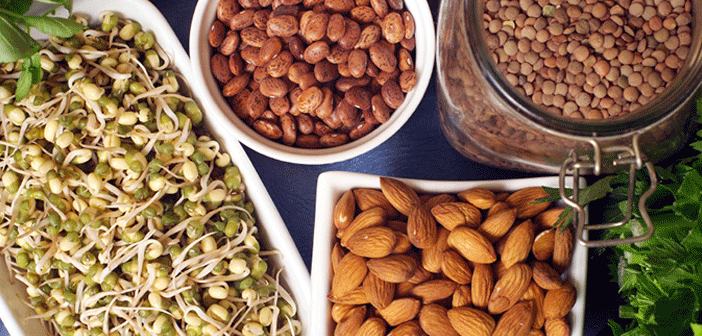 Featured image of post Protein İhtiyacını Et Yerine Nereden Karşılayabiliriz?