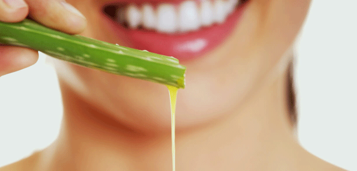 Featured image of post Aloe Vera ile Cilt Bakımı Nasıl Yapılır?