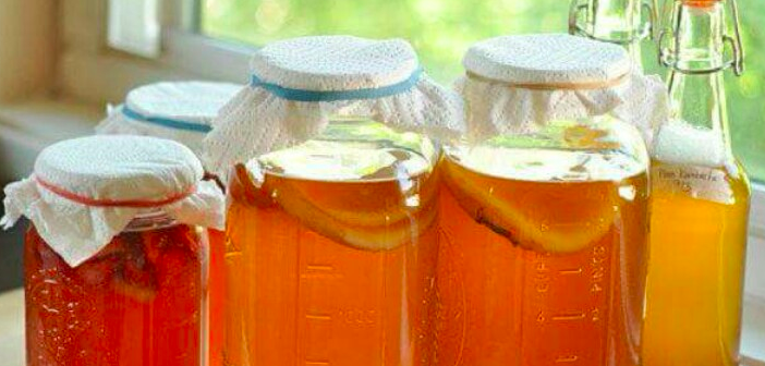 Kombu (Kombucha) Çayı İçmek İçin 7 Neden