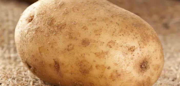 Featured image of post Hangi Yemek İçin Hangi Patates Kullanılmalı?