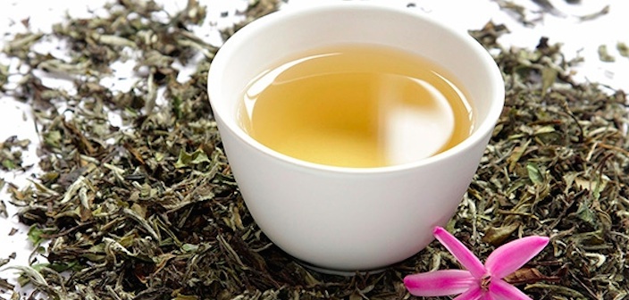 Featured image of post En Sağlıklı Çay Hangileri?