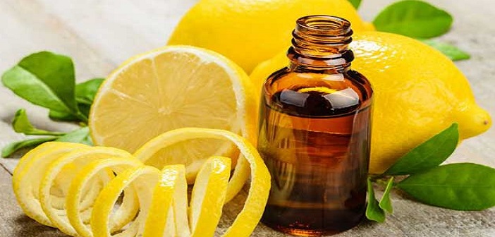 Featured image of post Evde Limon Kolonyası Nasıl Yapılır?