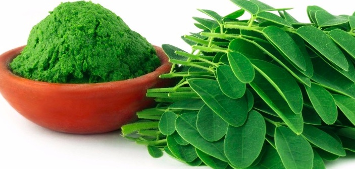 Featured image of post Moringa Tozu Nasıl Yapılır?
