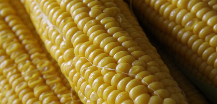 Featured image of post Lezzetli Haşlanmış Mısır Yapmanın Püf Noktası