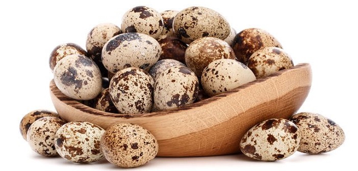Featured image of post Bıldırcın Yumurtasının Faydalarını Biliyor musunuz?