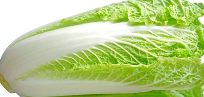 Featured image of post Marulu Uzun Süre Taze Tutmanın Yolu