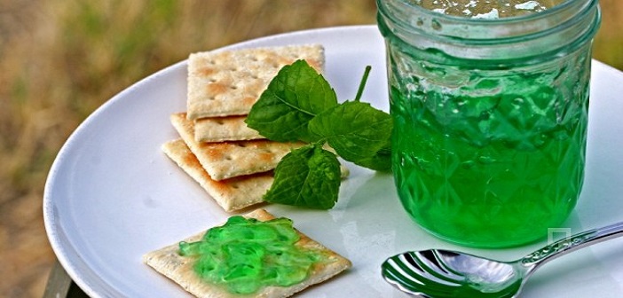 Featured image of post Nane Reçeli Tarifi