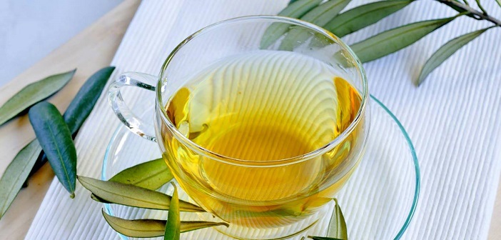 Zeytin Yaprağı Çayı Nasıl Yapılır? Faydaları Nelerdir?