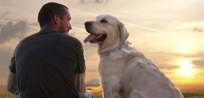 Featured image of post Köpek Sahip Olmak Kalbinizi Koruyor