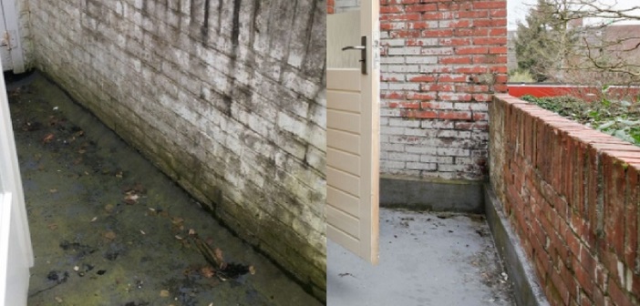 Featured image of post Balkon Ve Bahçe Duvarlarınız Yeşilleniyorsa...
