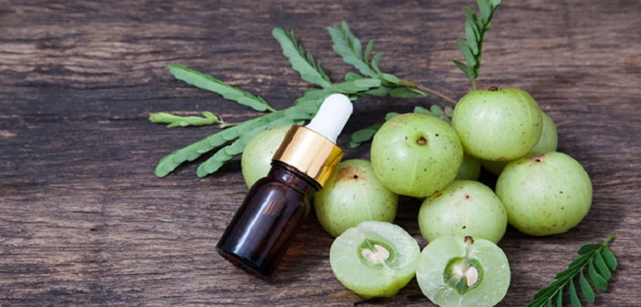 Featured image of post Hızlı Saç Uzaması İçin Amla (Bektaşi Üzümü) Nasıl Kullanılır?