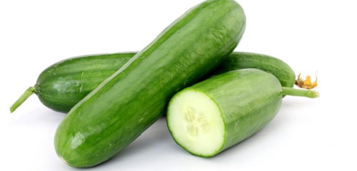 Featured image of post Salatalığı 1 Yıla Kadar Saklayabilirsiniz!