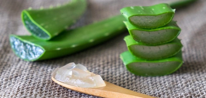 Siğiller İçin Aloe Vera Kullanma Yöntemi