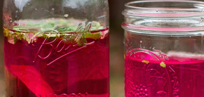 Featured image of post Zihin ve Beden Temizleyici Detoks Suları