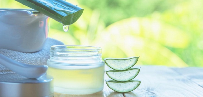Featured image of post Sivilce İçin Aloe Vera ve Çay Ağacı Yağı Jel Tarifi