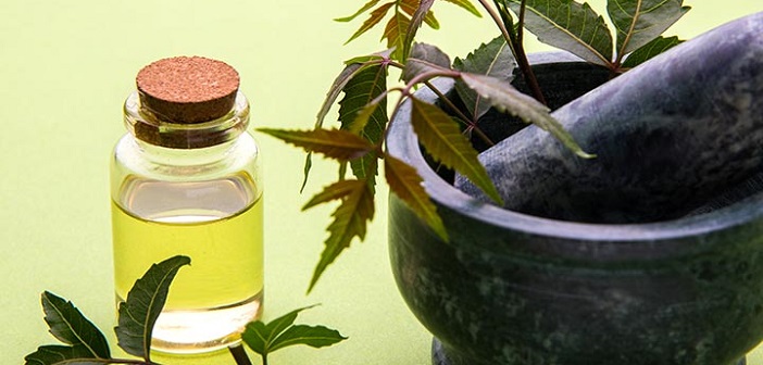 Kepek İçin Neem Yağı Kullanmanın 8 Yolu