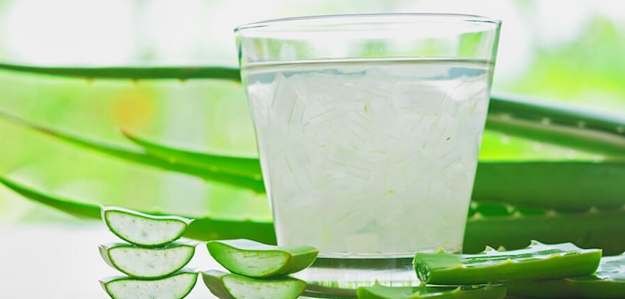 Featured image of post Aloe Vera Suyu Zararlı mı?