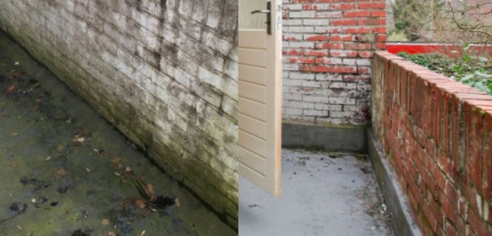 Featured image of post Balkon ya da Bahçe Fayanslarında Yosunlanmayı Yok Edin